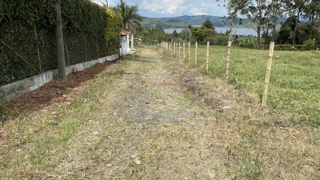 Lotes Iguazú